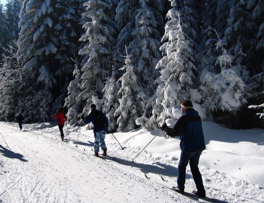 Langlaufen in der Skiregion Dolomiti Superski