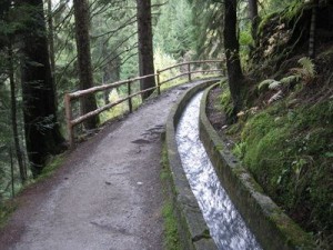 Schenner Neuwaal bei Meran