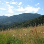 Wandergebiet Naturpark Trudner Horn