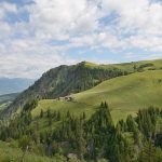 Die Seiser Alm im Sommer