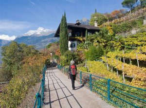 Tappeinerweg in Meran