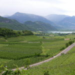 Die Südtiroler Weinstraße