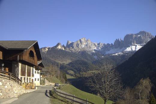 Tiers mit Blick auf Rosengarten