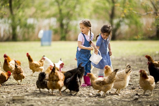 Urlaub auf dem Bauernhof mit Kindern in Südtirol