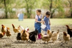 Mit Kindern Urlaub auf dem Bauernhof in Südtirol machen