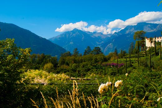 Gartenanlage in Meran