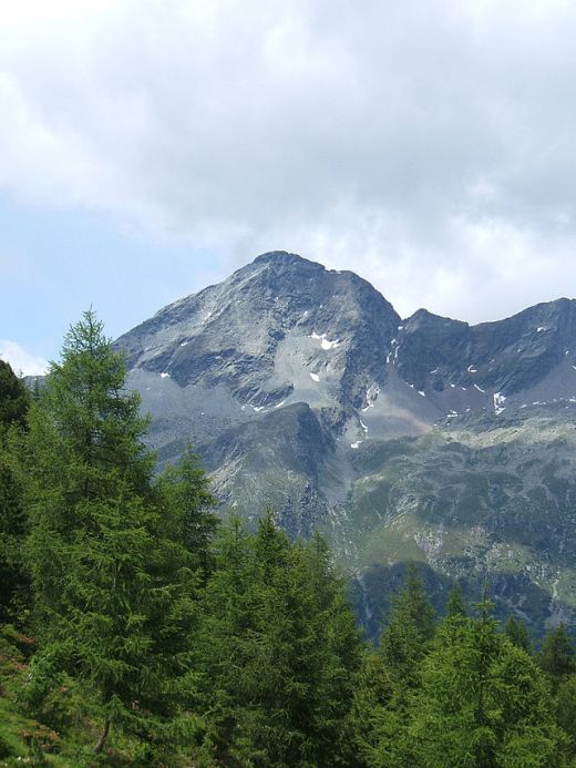 Großer Moosstock in Sand in Taufers