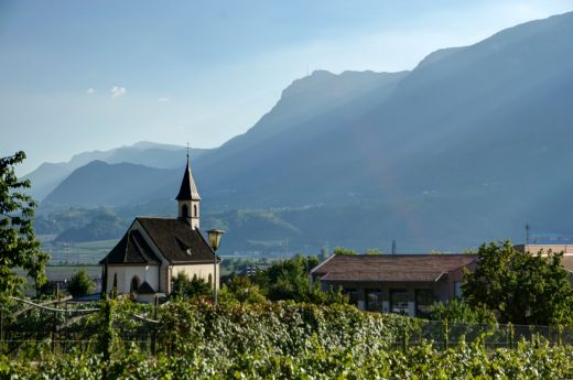 Die Pfarrkirche in Terlan, Südtirol