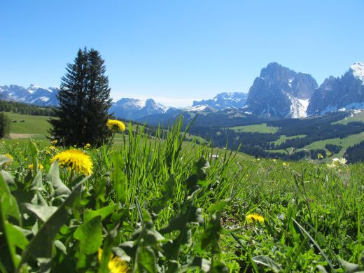 Blick auf die Seiser Alm in Südtirol