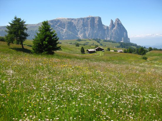 Urlaub auf der Seiser Alm