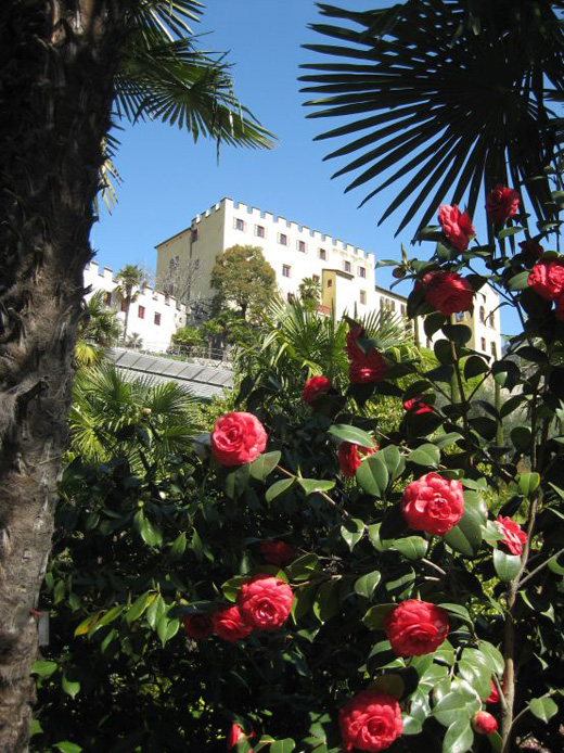 Schloss Trauttmansdorff